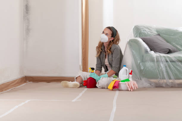Reliable Mold Testing contractor in Avenel, NJ by WQB Mold Removal